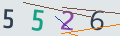 verifycode